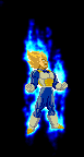 animation128.gif