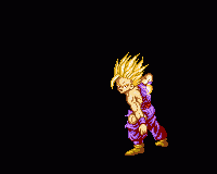animation7.gif