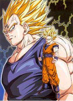 veggoku.jpg